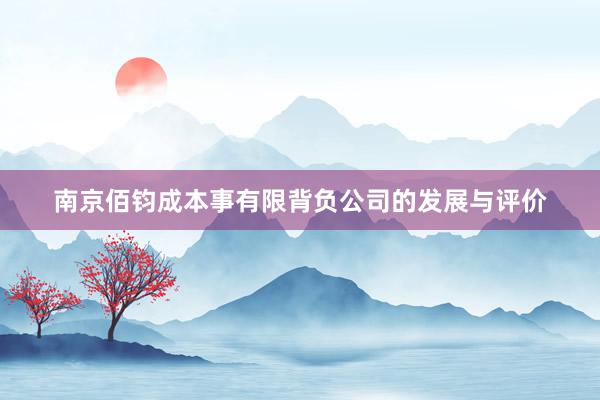 南京佰钧成本事有限背负公司的发展与评价